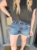 Vervet Raw Hem Distressed Shorts